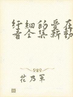 纤细的爱在线观看全集新动漫