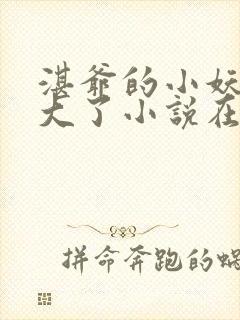 湛爷的小妖精长大了小说在线