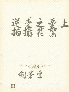 逆袭之爱上情敌拍摄花絮