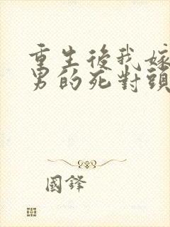 重生后我嫁给渣男的死对头