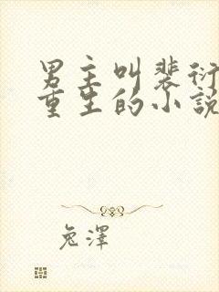 男主叫裴衍女主重生的小说