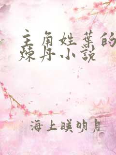 主角姓叶的重生炼丹小说