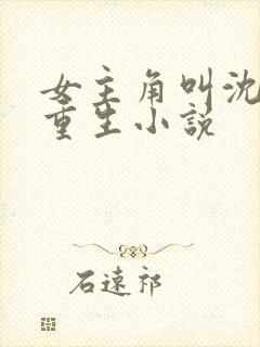 女主角叫沈清的重生小说