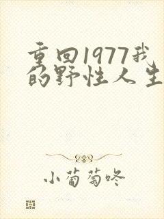 重回1977我的野性人生短剧全集免费观看