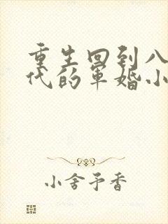 重生回到八十年代的军婚小说