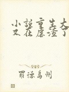 小说重生大小姐又在虐渣了