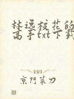 林逸校花的贴身高手txt下载