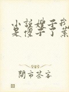 小说嫂子我真不是傻子了叶凡免费全集