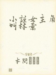 小说女主角名字叫林意