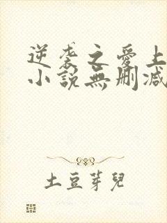 逆袭之爱上情敌小说无删减完整版