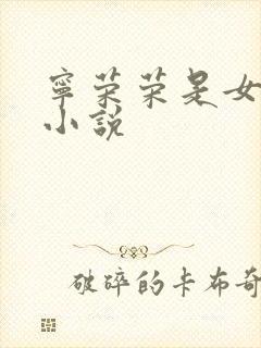 宁荣荣是女主的小说