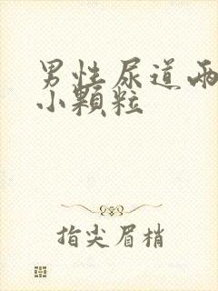 男性尿道两侧有小颗粒