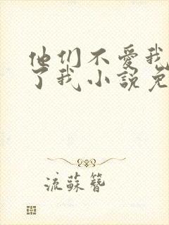 他们不爱我却生了我小说免费阅读