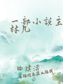 一部小说主角叫林凡