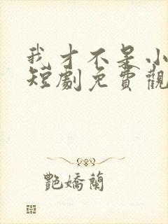 我才不是小可怜短剧免费观看