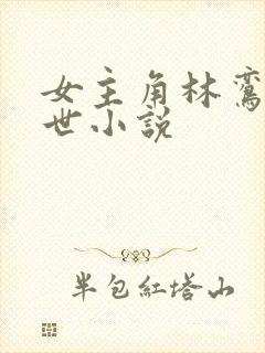 女主角林鸾的末世小说