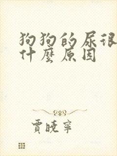 狗狗的尿很黄是什么原因