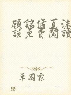 顾铭修夏沫染小说免费阅读