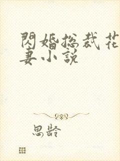 闪婚总裁花式宠妻小说