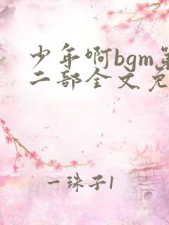 少年啊bgm第二部全文免费听