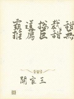 霸道总裁甜宠文推荐巨甜无虐