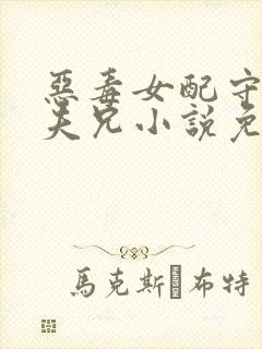 恶毒女配守活寡夫兄小说免费阅读