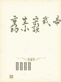 重生宋武帝刘裕的小说