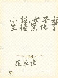 小说,世子妃重生后黑化了