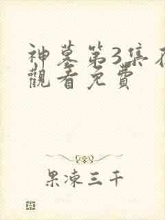 神墓第3集在线观看免费