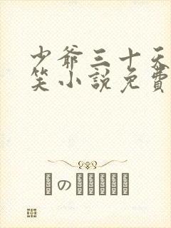 少爷三十天后会笑小说免费阅读