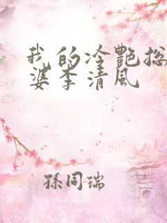我的冷艳总裁老婆李清风