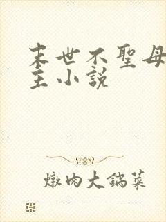 末世不圣母无女主小说