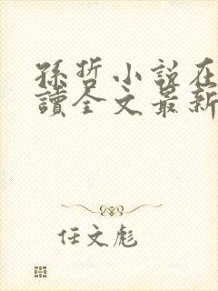 孙哲小说在线阅读全文最新