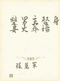 双男主替身梗追妻火葬场