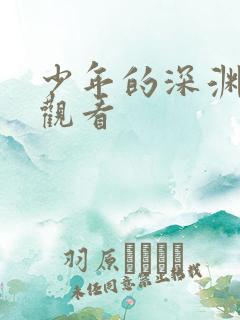 少年的深渊免费观看