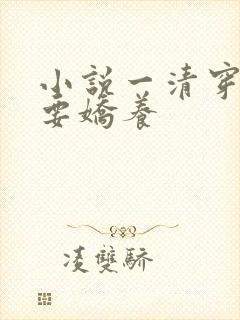 小说一清穿皇妃要娇养