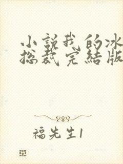 小说我的冰山女总裁完结版