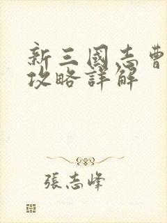 新三国志曹操传攻略详解