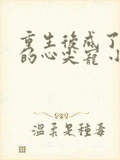 重生后成了大佬的心尖宠 小说