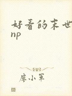 好看的末世小说np
