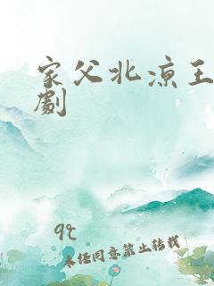 家父北凉王 短剧