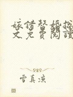 嫁错替婚总裁全文免费阅读