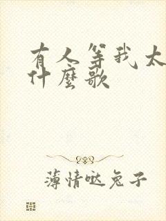 有人等我太久是什么歌