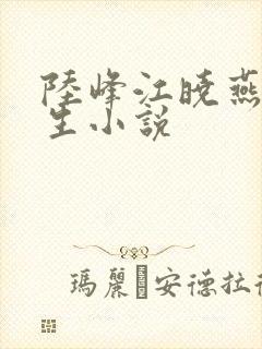 陆峰江晓燕的重生小说