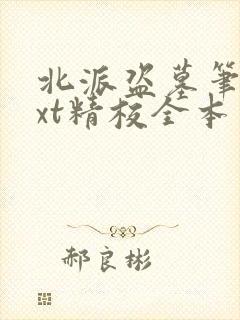 北派盗墓笔记txt精校全本