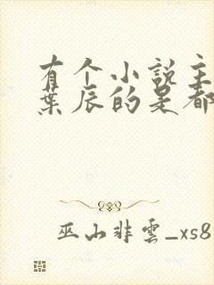 有个小说主角叫叶辰的是都市什么小说