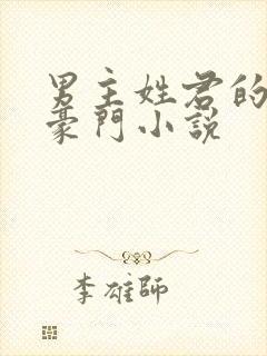 男主姓君的现代豪门小说