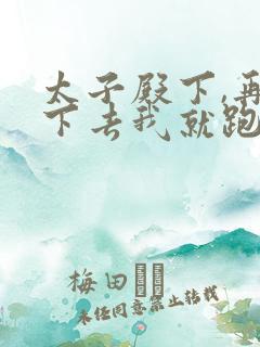 太子殿下,再虐下去我就跑了免费阅读