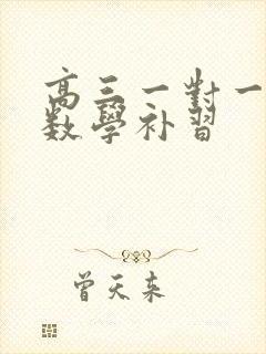 高三一对一文科数学补习