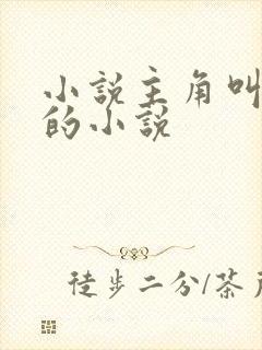 小说主角叫苏念的小说